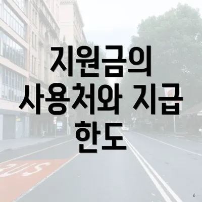 지원금의 사용처와 지급 한도