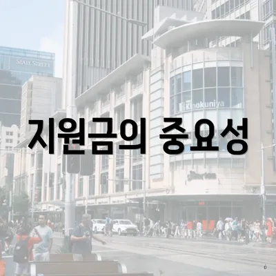 지원금의 중요성