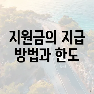 지원금의 지급 방법과 한도