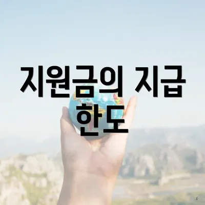 지원금의 지급 한도