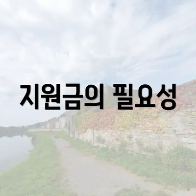지원금의 필요성