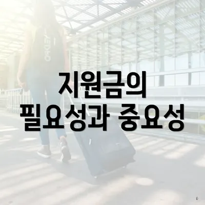 지원금의 필요성과 중요성