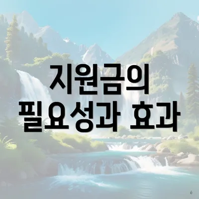 지원금의 필요성과 효과