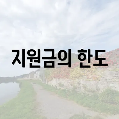지원금의 한도