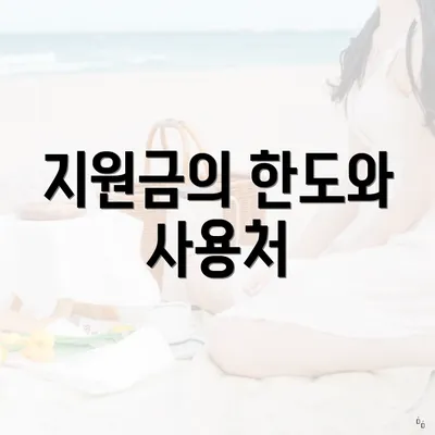 지원금의 한도와 사용처