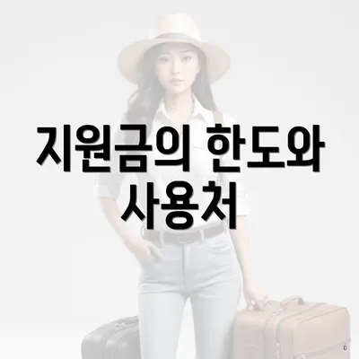 지원금의 한도와 사용처