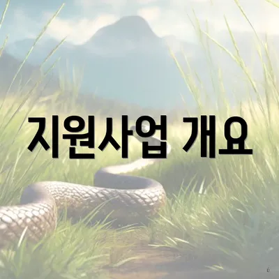 지원사업 개요
