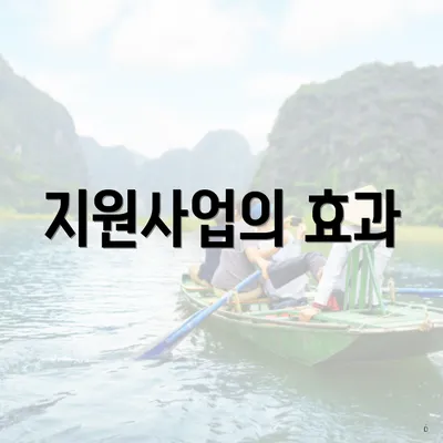지원사업의 효과