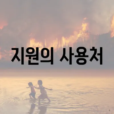 지원의 사용처