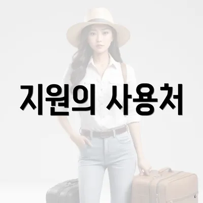 지원의 사용처