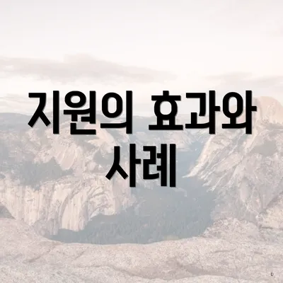 지원의 효과와 사례