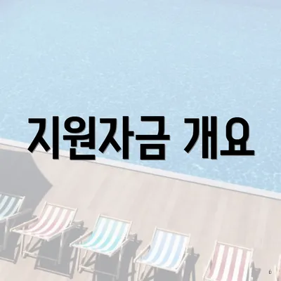 지원자금 개요
