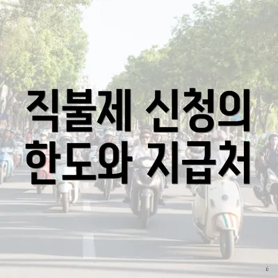 직불제 신청의 한도와 지급처