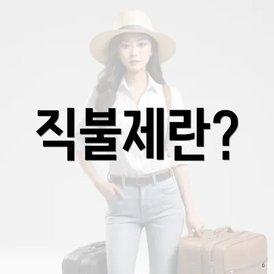 직불제란?