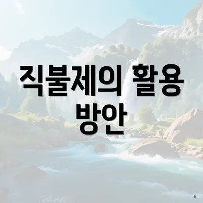 직불제의 활용 방안