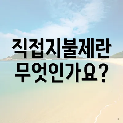 직접지불제란 무엇인가요?
