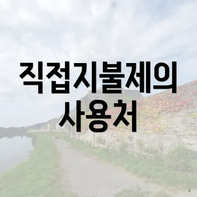 직접지불제의 사용처