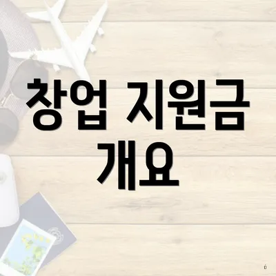 창업 지원금 개요