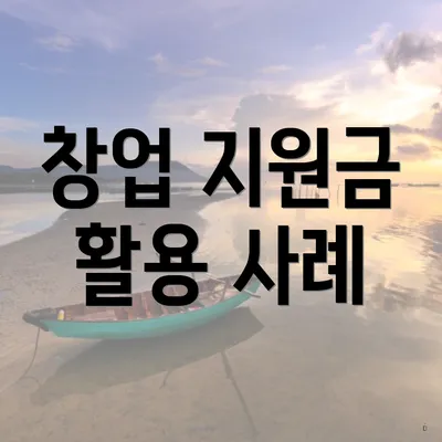 창업 지원금 활용 사례