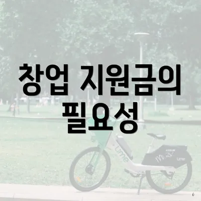 창업 지원금의 필요성