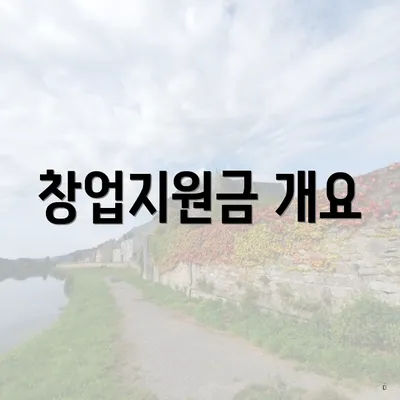 창업지원금 개요