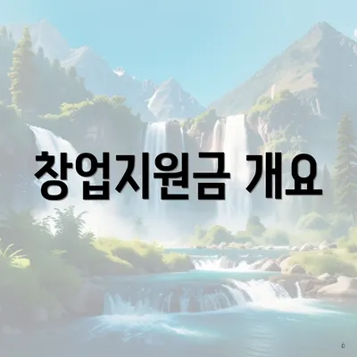 창업지원금 개요