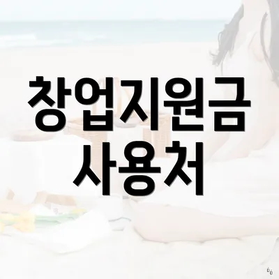 창업지원금 사용처