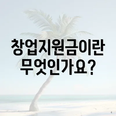 창업지원금이란 무엇인가요?