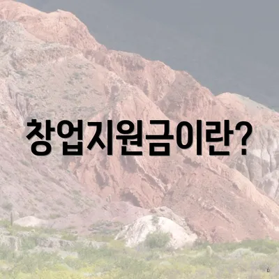 창업지원금이란?