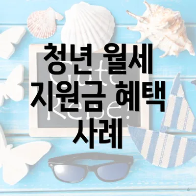 청년 월세 지원금 혜택 사례