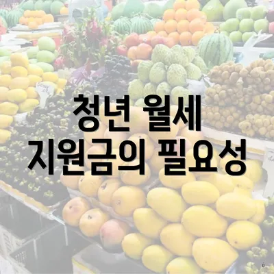 청년 월세 지원금의 필요성