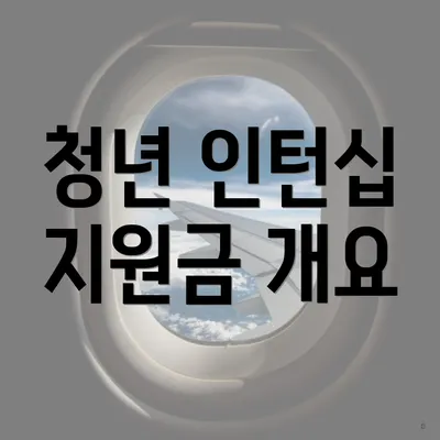 청년 인턴십 지원금 개요