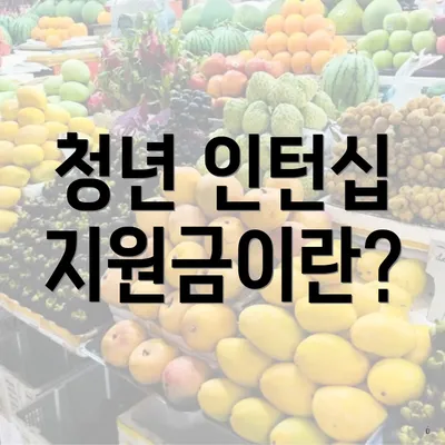 청년 인턴십 지원금이란?