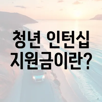 청년 인턴십 지원금이란?