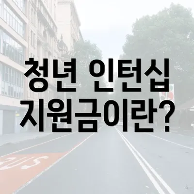 청년 인턴십 지원금이란?