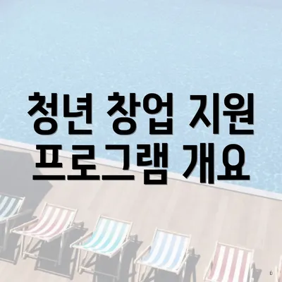 청년 창업 지원 프로그램 개요
