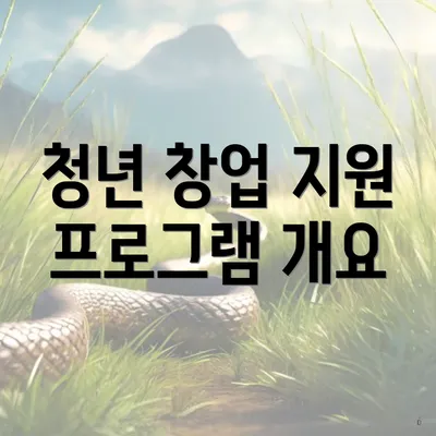 청년 창업 지원 프로그램 개요