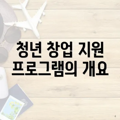 청년 창업 지원 프로그램의 개요