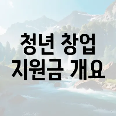 청년 창업 지원금 개요