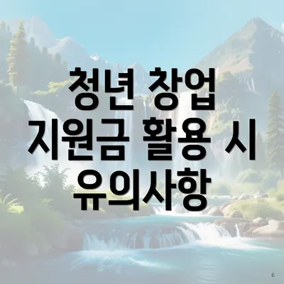 청년 창업 지원금 활용 시 유의사항
