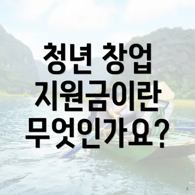 청년 창업 지원금이란 무엇인가요?