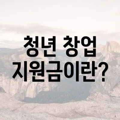 청년 창업 지원금이란?