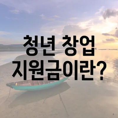 청년 창업 지원금이란?