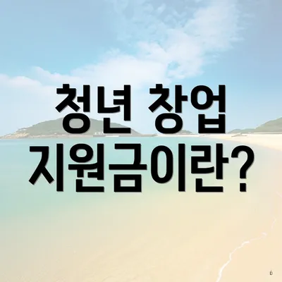청년 창업 지원금이란?