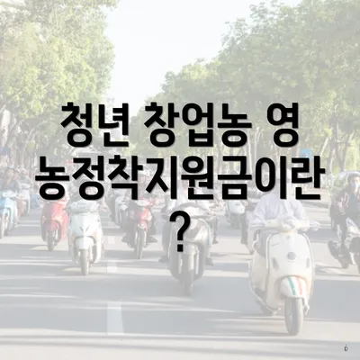 청년 창업농 영농정착지원금이란?
