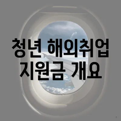 청년 해외취업 지원금 개요