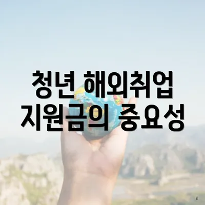 청년 해외취업 지원금의 중요성