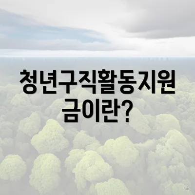 청년구직활동지원금이란?