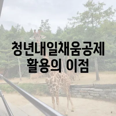 청년내일채움공제 활용의 이점