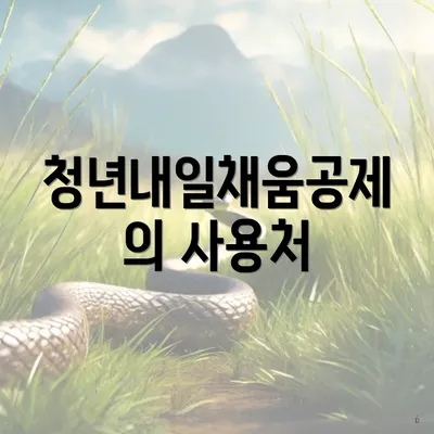청년내일채움공제의 사용처